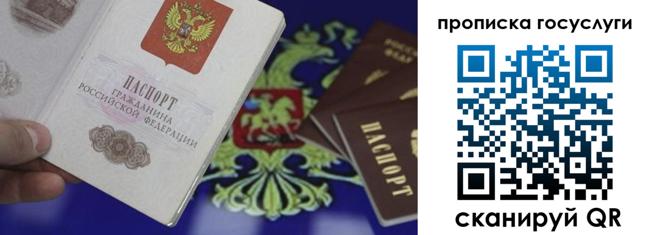 прописка для школы в Северной Осетии